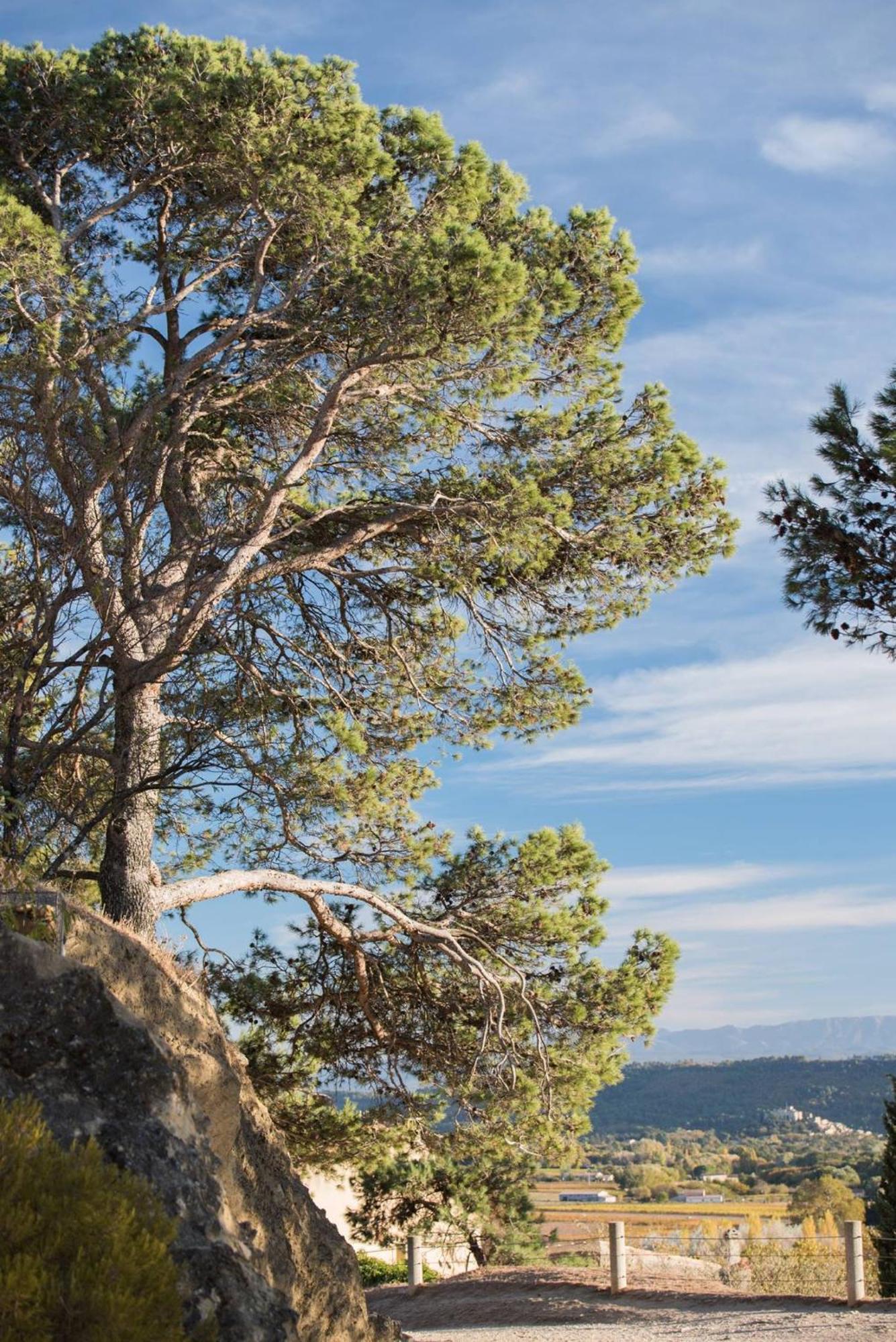 Charmante Maison De Village Au Coeur Du Luberon Cucuron Luaran gambar